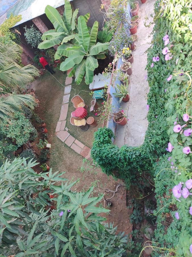 Bristows Haveli Homestay จ๊อดปูร์ ภายนอก รูปภาพ